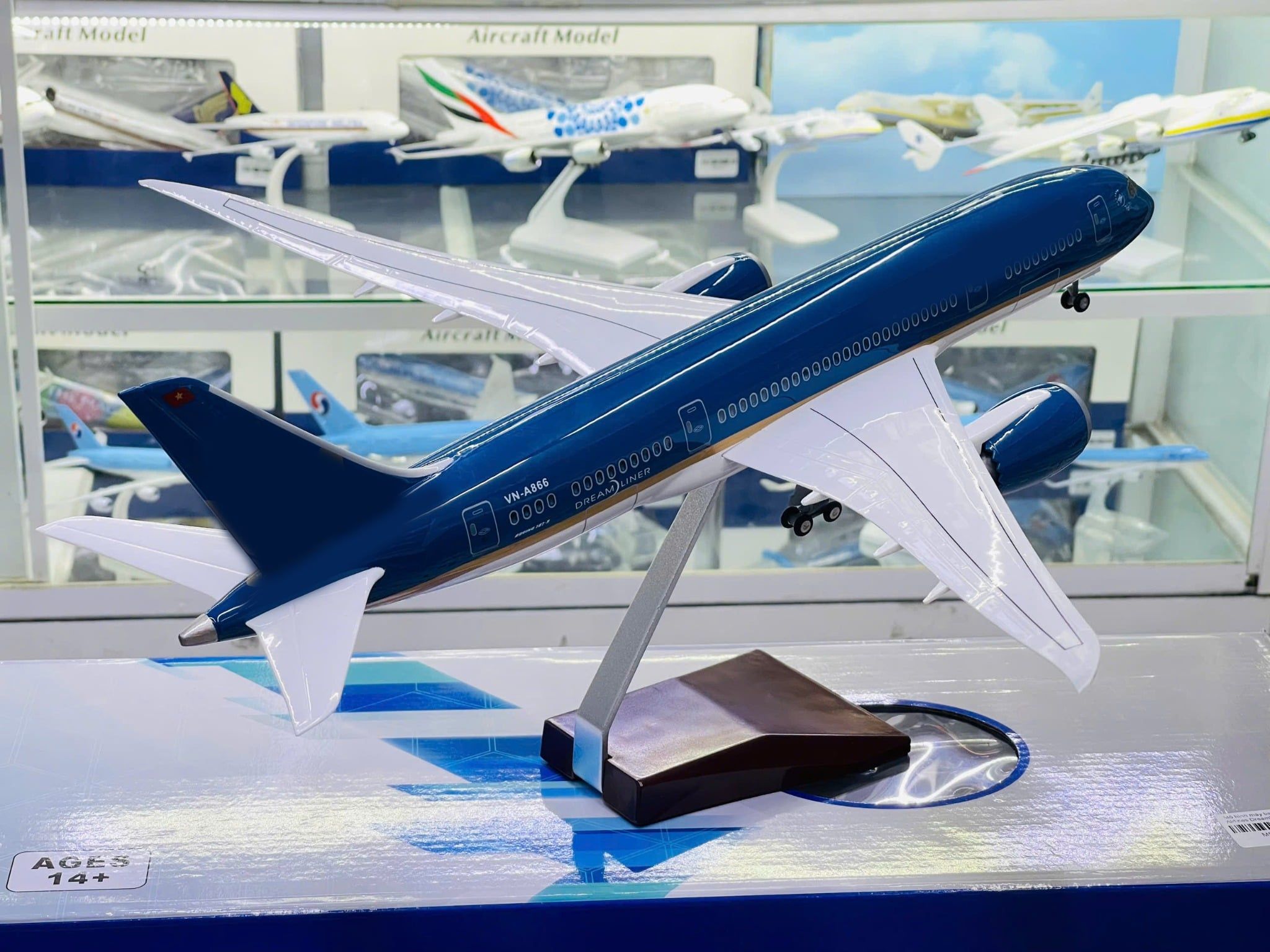  Mô hình máy bay VN Boeing B787 Dreamliner  47cm 1:130 No LED 47cm MB47087 