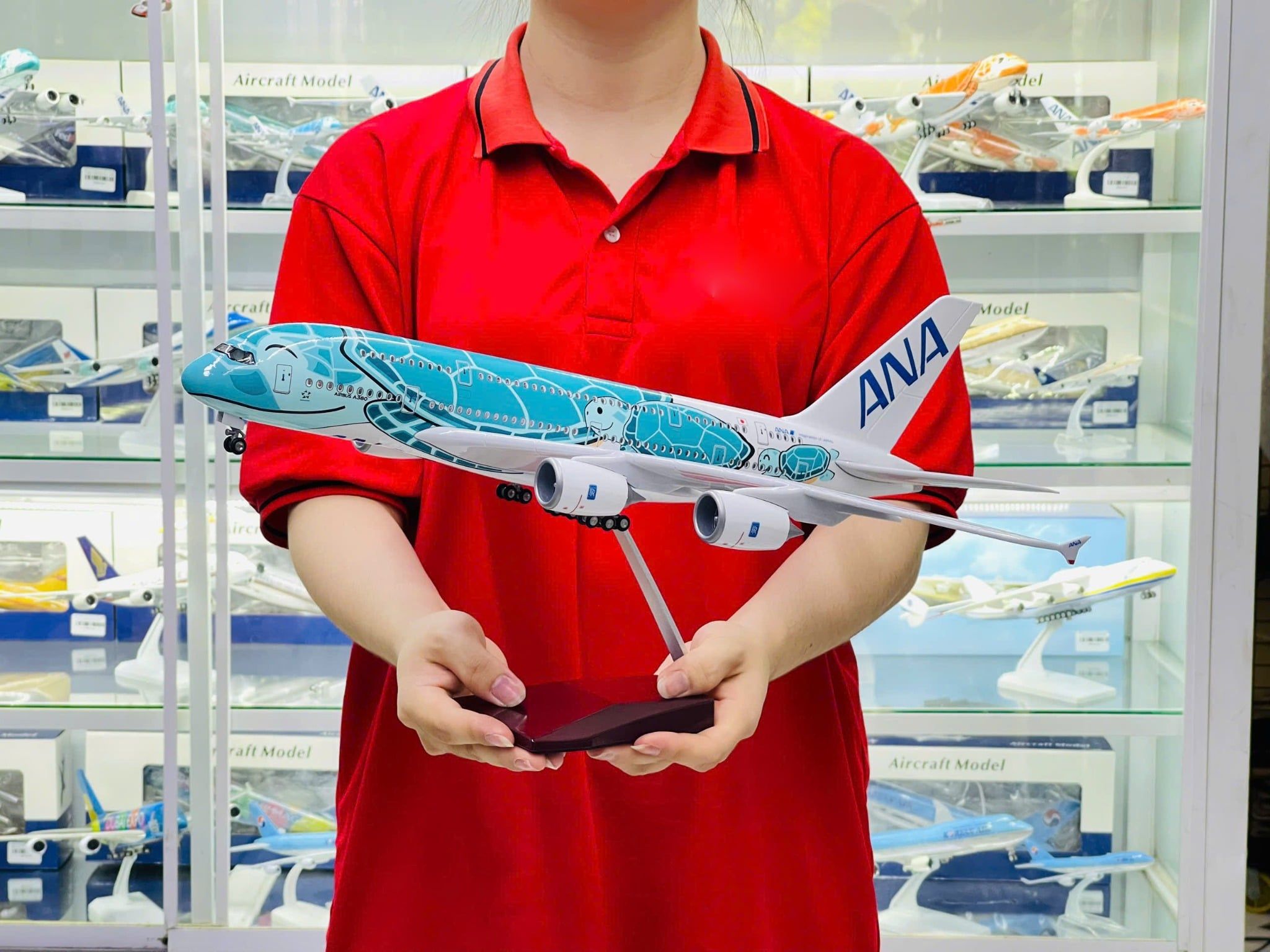  Mô hình máy bay ANA Turtle Green Airbus A380 No LED 47cm MB47084 