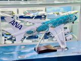  Mô hình máy bay ANA Turtle Green Airbus A380 No LED 47cm MB47084 