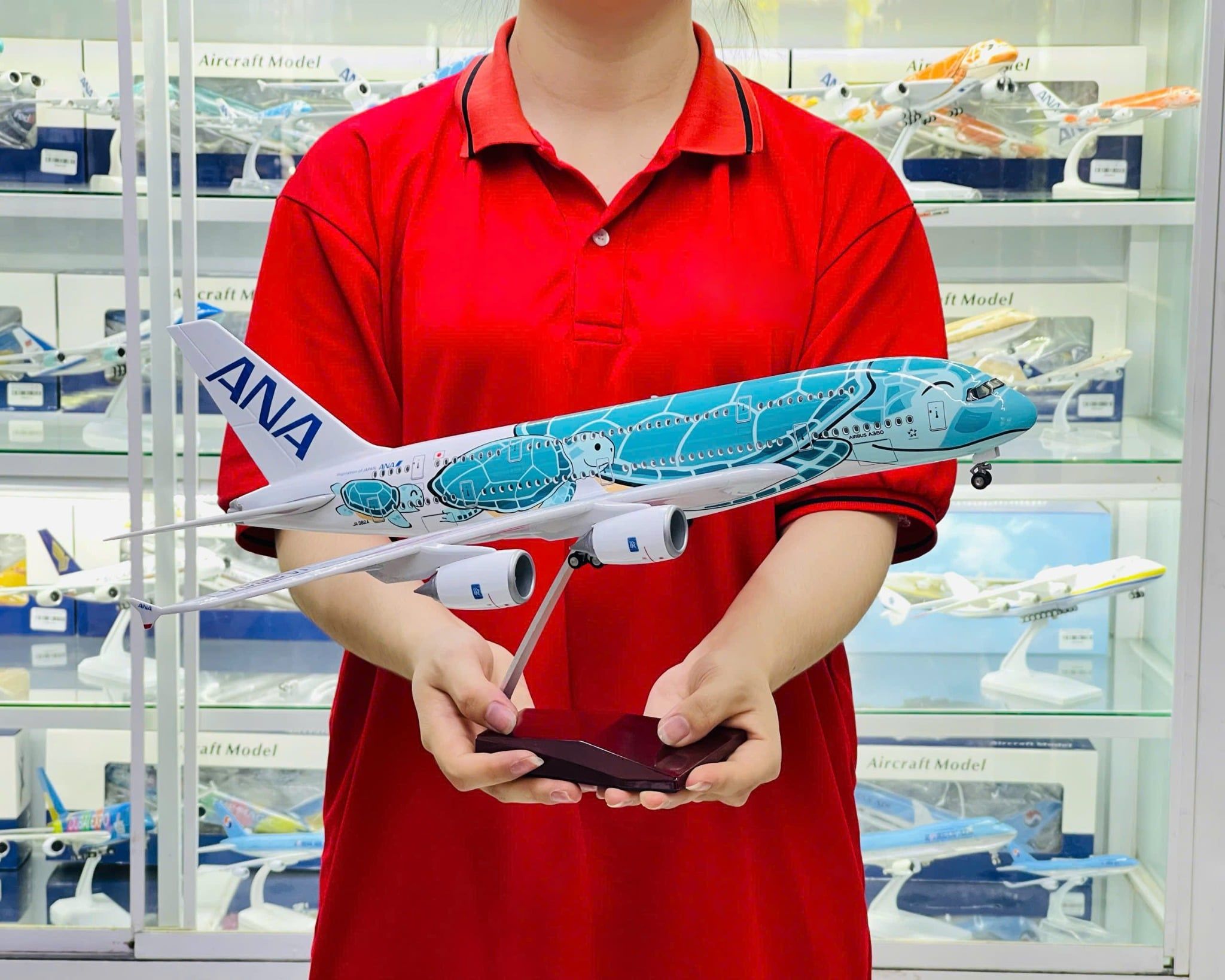  Mô hình máy bay ANA Turtle Green Airbus A380 No LED 47cm MB47084 