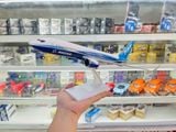  Mô hình máy bay Original Boeing B737 kích thước 30cm MB30041 