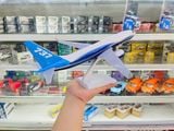  Mô hình máy bay Original Boeing B737 kích thước 30cm MB30041 