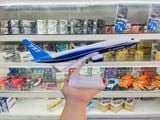  Mô hình máy bay Original Boeing B737 kích thước 30cm MB30041 