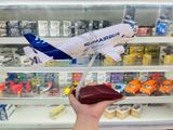  Mô hình máy bay vận tải Airbus Beluga XL kích thước 30cm MB30043 