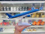 Mô hình máy bay VN Boeing B787 kích thước 30cm MB30037 