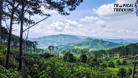 Relaxing Trail - Kon Roong Hiking