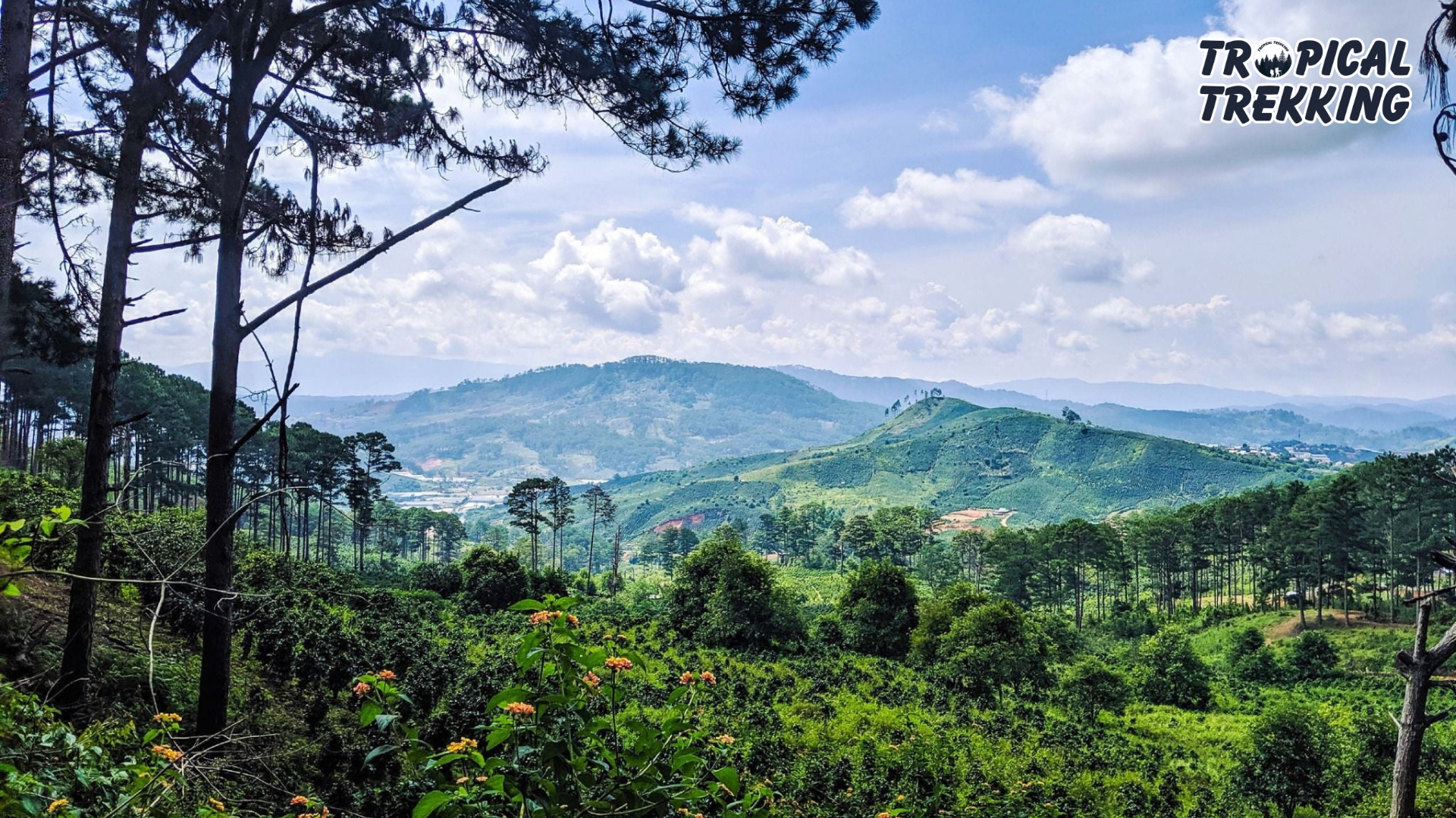Relaxing Trail - Kon Roong Hiking