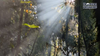 [EXPERT] MAGICAL LAND - DONG IAR JIENG - YANG DO TRAIL