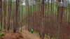 [EXPERT] YANG DO TRAIL - ĐỈNH NÚI KHỈ - VÙNG ĐẤT HUYỀN ẢO