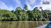 [ADVANCE] TREKKING RỪNG RẬM BORNEO - BRUNEI