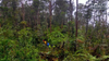 [EXPERT] MAGICAL LAND - DONG IAR JIENG - YANG DO TRAIL
