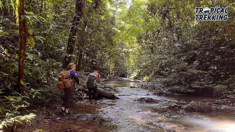 [ADVANCE] TREKKING RỪNG RẬM BORNEO - BRUNEI