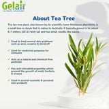 Gelair Natural Air Purifying Tub