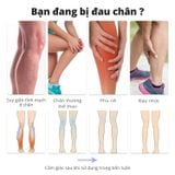  Máy Massage Chân Không Dây Kachi MK427: Giải Pháp Toàn Diện Cho Đôi Chân Khỏe Mạnh 