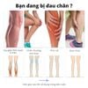  Máy Massage Chân Không Dây Kachi MK427: Giải Pháp Toàn Diện Cho Đôi Chân Khỏe Mạnh 