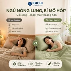 Bộ Drap Lụa Tencel 100% – Mát Lạnh, Mềm Mịn (Size 1m6/1m8 – Bọc Nệm Dày 20cm) MK445 Kachi