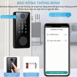  Khóa Cửa Thông Minh Kachi MK44 – Mở Khóa App Tuya + Vân tay + Chìa khóa + Thẻ từ + Mã số 