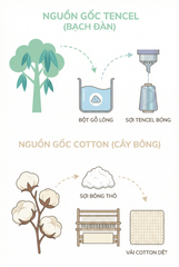 Bộ Drap Lụa Tencel 100% – Mát Lạnh, Mềm Mịn (Size 1m6/1m8 – Bọc Nệm Dày Tới 30cm) MK Kachi