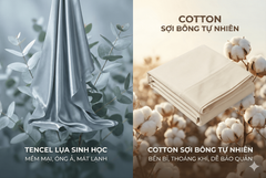 Bộ Drap Lụa Tencel 100% – Mát Lạnh, Mềm Mịn (Size 1m6/1m8 – Bọc Nệm Dày Tới 30cm) MK Kachi