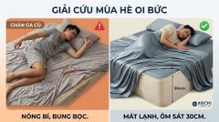 Bộ Drap Lụa Tencel 100% – Mát Lạnh, Mềm Mịn (Size 1m6/1m8 – Bọc Nệm Dày 20cm) MK445 Kachi