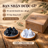  Khuếch tán tinh dầu Núi Đá Dalat Retro 