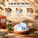 Khuếch tán tinh dầu Núi Đá Dalat Retro