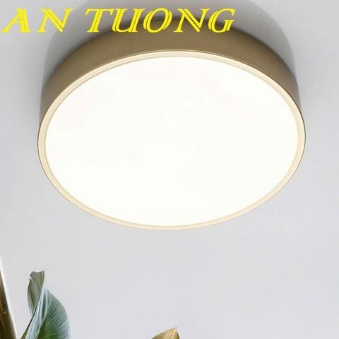  Đèn LED ốp trần ban công viền vàng D300 