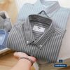 SM Oxford Sọc SMBTBN043