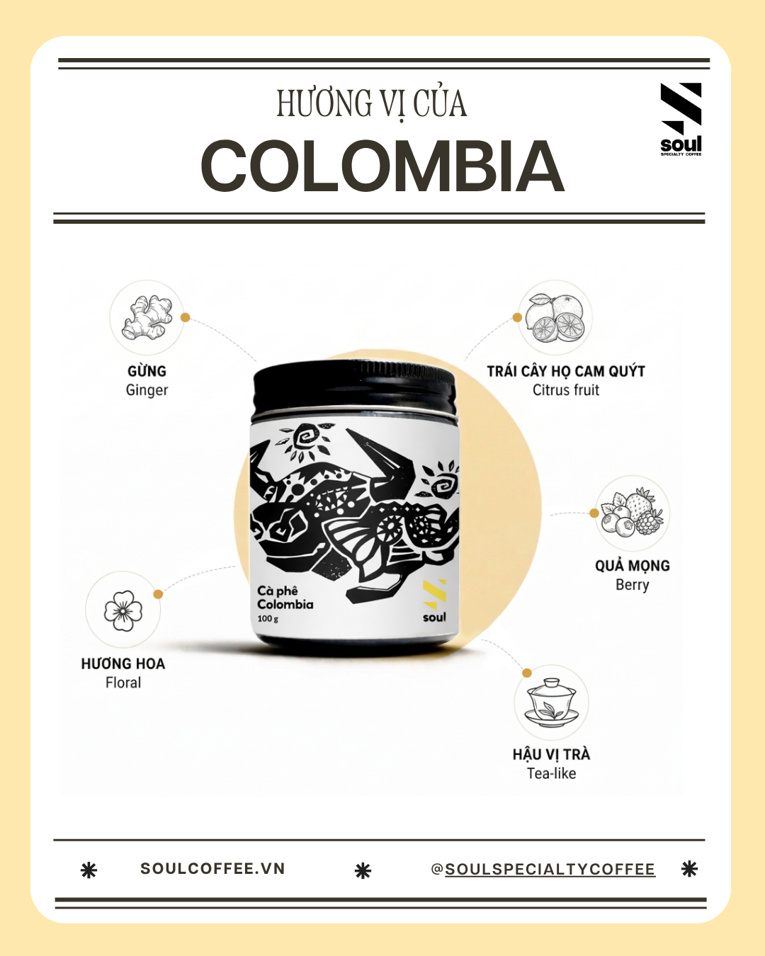  Colombia Sidra - Finca Lumbrera 
