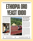  Ethiopia Oro Yeast Idido 
