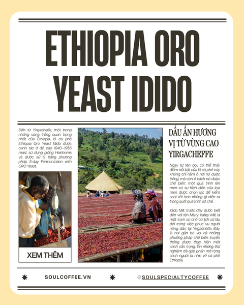  Ethiopia Oro Yeast Idido 