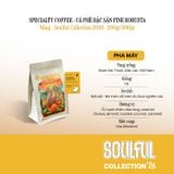  SOULFUL NỒNG PHA MÁY - FINE ROBUSTA TR - NATURAL - SOUL YEAST | SOULFUL COLLECTION 2026 I VIETNAM FINE ROBUSTA 
