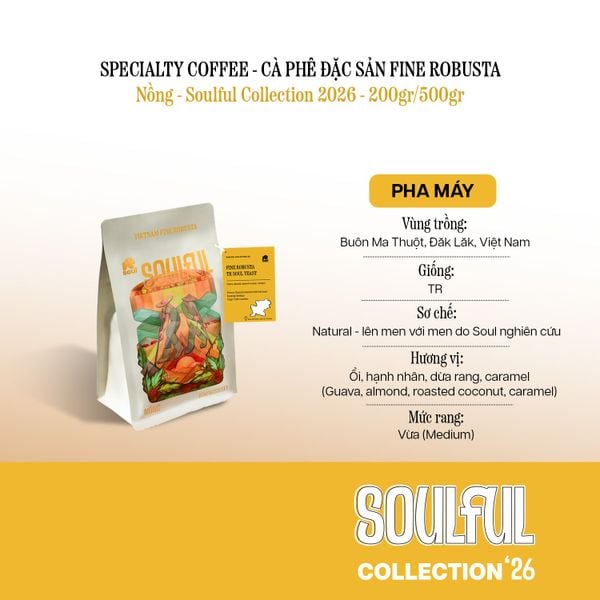  SOULFUL NỒNG PHA MÁY - FINE ROBUSTA TR - NATURAL - SOUL YEAST | SOULFUL COLLECTION 2026 I VIETNAM FINE ROBUSTA 