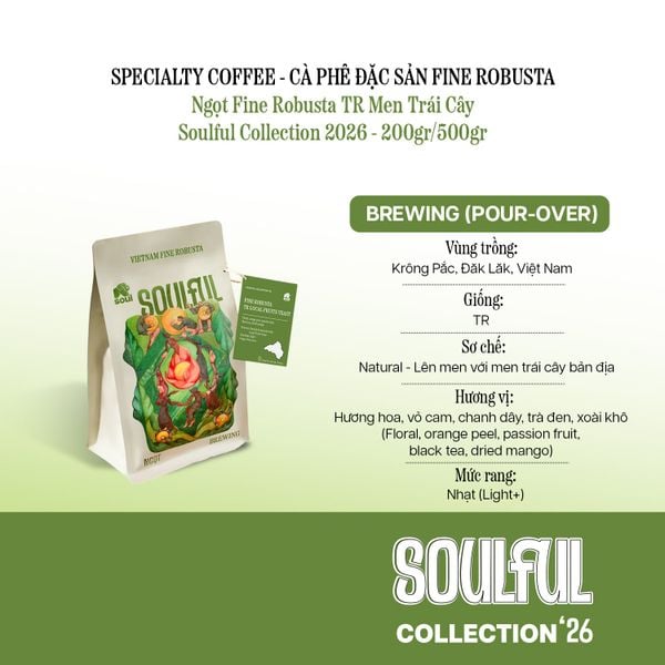  SOULFUL NGỌT BREWING - FINE ROBUSTA TR - LOCAL FRUITS YEAST | SOULFUL COLLECTION 2026 | VIETNAM FINE ROBUSTA 