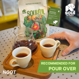  SOULFUL NGỌT BREWING - FINE ROBUSTA TR - SOUL YEAST | SOULFUL COLLECTION 2026 I VIETNAM FINE ROBUSTA 