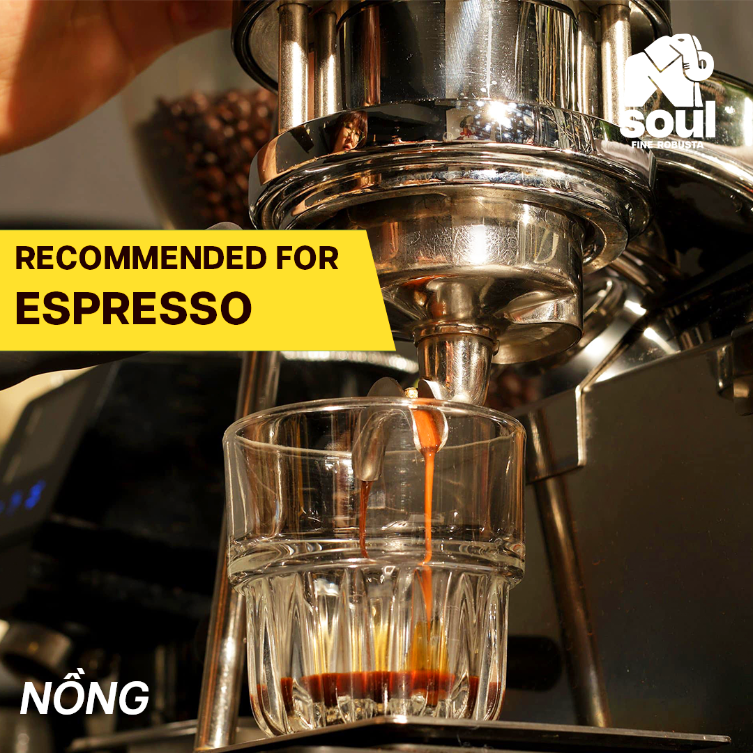  SOULFUL NỒNG PHA MÁY - FINE ROBUSTA TR - NATURAL - SOUL YEAST | SOULFUL COLLECTION 2026 I VIETNAM FINE ROBUSTA 