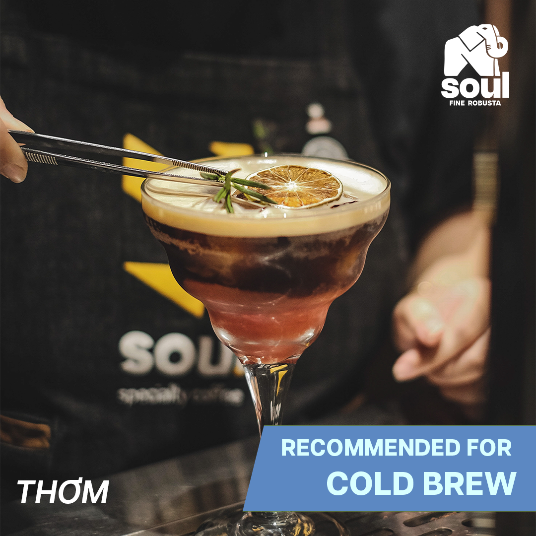  SOULFUL THƠM COLD BREW - BLEND TR, CATIMOR, YELLOW BOURBON | SOULFUL COLLECTION 2026 | FINE ROBUSTA & SPECIALTY ARABICA 
