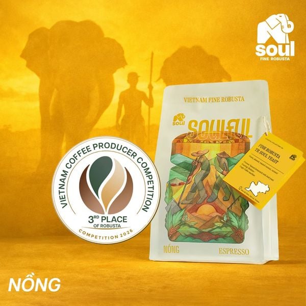  SOULFUL NỒNG PHA MÁY - FINE ROBUSTA TR - NATURAL - SOUL YEAST | SOULFUL COLLECTION 2026 I VIETNAM FINE ROBUSTA 