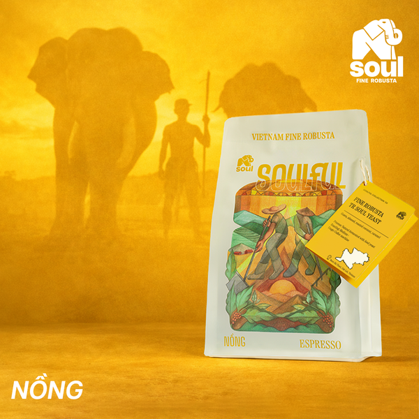  SOULFUL NỒNG PHA MÁY - FINE ROBUSTA TR - NATURAL - SOUL YEAST | SOULFUL COLLECTION 2026 I VIETNAM FINE ROBUSTA 