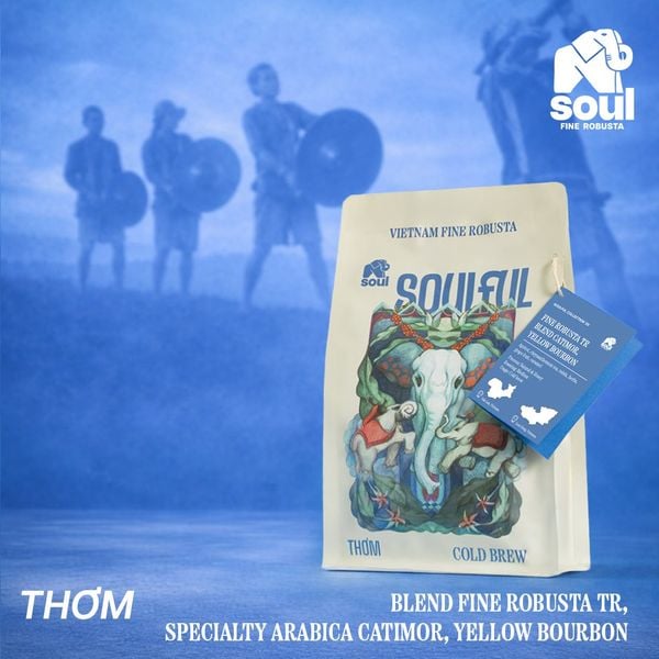  SOULFUL THƠM COLD BREW - BLEND TR, CATIMOR, YELLOW BOURBON | SOULFUL COLLECTION 2026 | FINE ROBUSTA & SPECIALTY ARABICA 