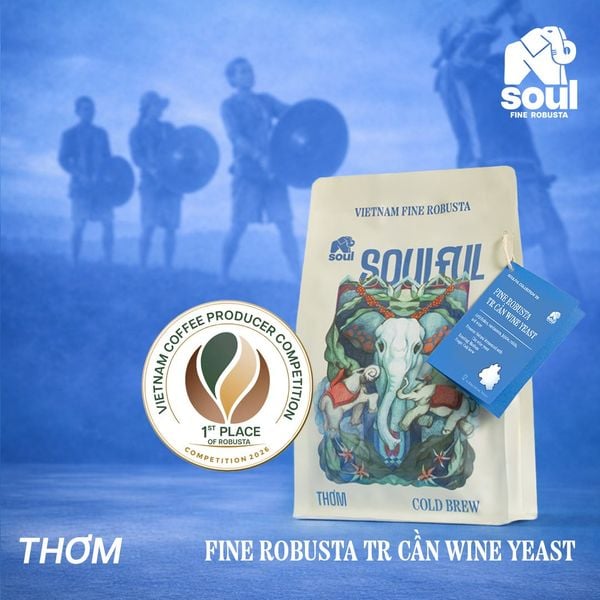  SOULFUL THƠM COLD BREW - FINE ROBUSTA TR - NATURAL CAN WINE FERMENTATION | SOULFUL COLLECTION 2026 I VIETNAM FINE ROBUSTA 