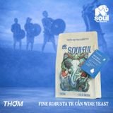  SOULFUL THƠM COLD BREW - FINE ROBUSTA TR - NATURAL CAN WINE FERMENTATION | SOULFUL COLLECTION 2026 I VIETNAM FINE ROBUSTA 