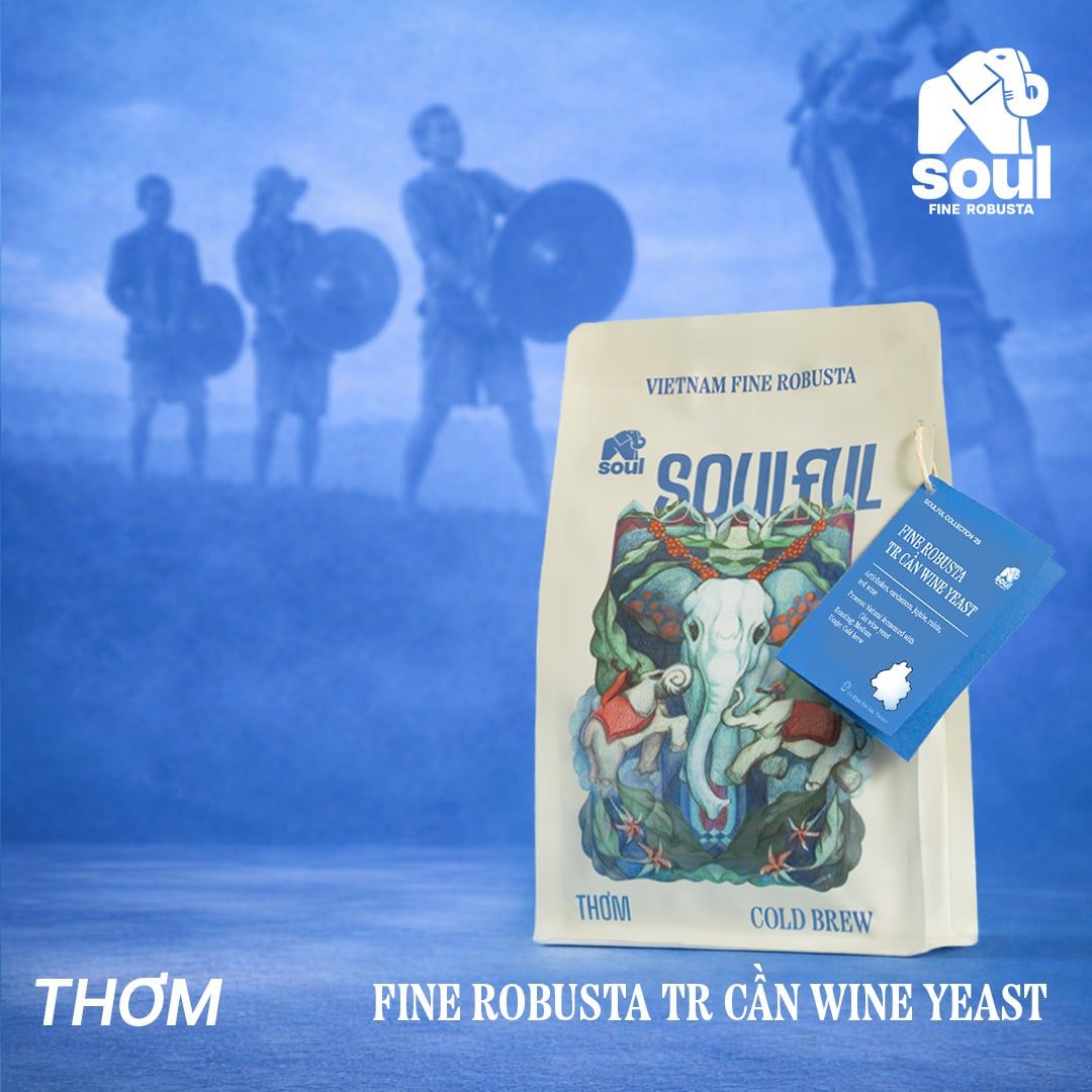  SOULFUL THƠM COLD BREW - FINE ROBUSTA TR - NATURAL CAN WINE FERMENTATION | SOULFUL COLLECTION 2026 I VIETNAM FINE ROBUSTA 
