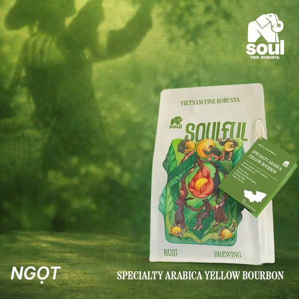  SOULFUL NGỌT BREWING - YELLOW BOURBON - HONEY | SOULFUL COLLECTION 2026 I VIETNAM SPECIALTY ARABICA 