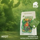  SOULFUL NGỌT BREWING - FINE ROBUSTA TR - LOCAL FRUITS YEAST | SOULFUL COLLECTION 2026 | VIETNAM FINE ROBUSTA 