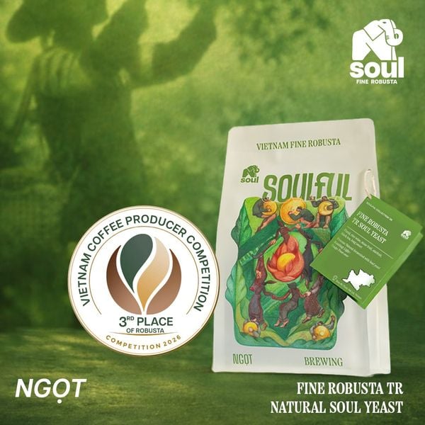  SOULFUL NGỌT BREWING - FINE ROBUSTA TR - SOUL YEAST | SOULFUL COLLECTION 2026 I VIETNAM FINE ROBUSTA 