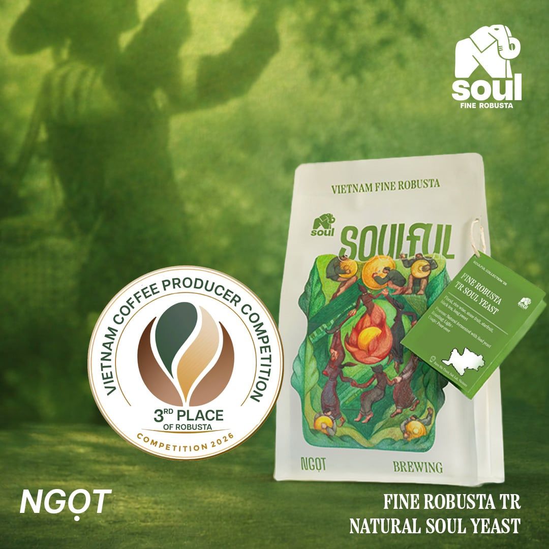  SOULFUL NGỌT BREWING - FINE ROBUSTA TR - SOUL YEAST | SOULFUL COLLECTION 2026 I VIETNAM FINE ROBUSTA 