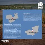  SOULFUL THƠM COLD BREW - BLEND TR, CATIMOR, YELLOW BOURBON | SOULFUL COLLECTION 2026 | FINE ROBUSTA & SPECIALTY ARABICA 