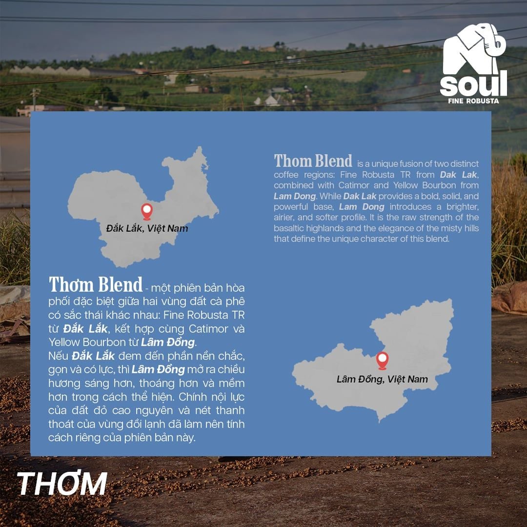  SOULFUL THƠM COLD BREW - BLEND TR, CATIMOR, YELLOW BOURBON | SOULFUL COLLECTION 2026 | FINE ROBUSTA & SPECIALTY ARABICA 