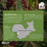  SOULFUL NGỌT BREWING - FINE ROBUSTA TR - SOUL YEAST | SOULFUL COLLECTION 2026 I VIETNAM FINE ROBUSTA 